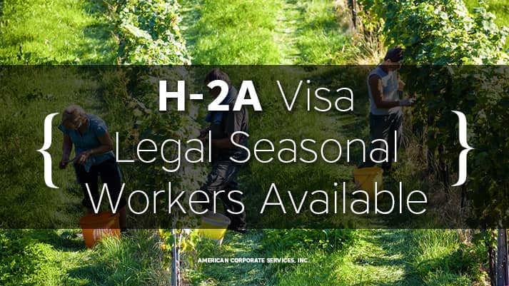 Legal Seasonal Workers Available with H-2A Visa